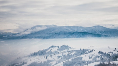 Distant view of forests in snowy mountains