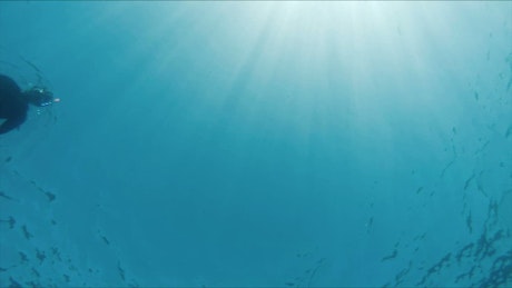 Diver snorkelling in open blue water.