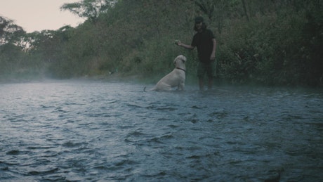 Dog and owner playing with a ball in a creek.