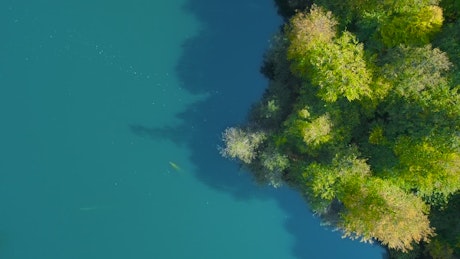 Drone view of a lake and forest.