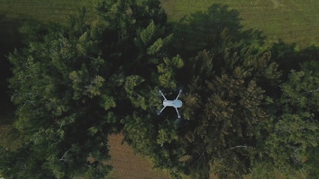 Drone view over trees.