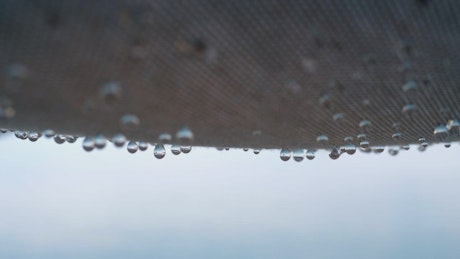 Drops of rain falling through fabric.