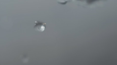 Drops of water falling, extreme close up