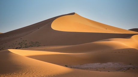 Dunes in the Sahara desert.