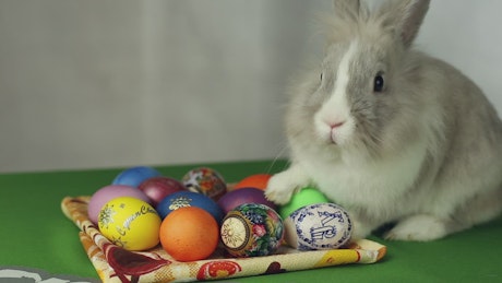 Easter rabbit next to colourful easter eggs.