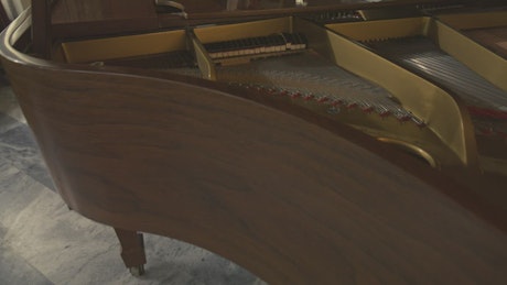 Experienced pianist playing a grand piano.