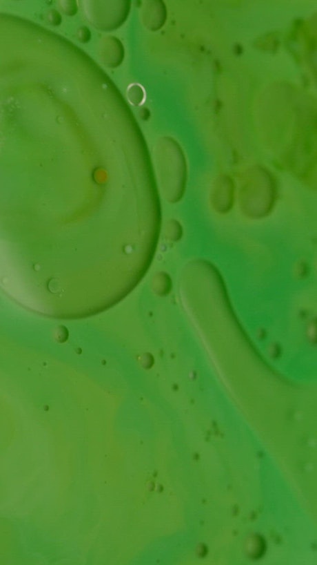 Extreme close up of the  texture of bright paint drops on green ink.