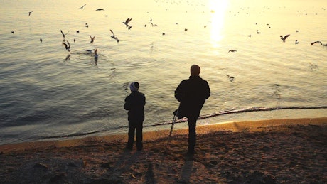 Father and son feeding seagulls on the shore of a lake.