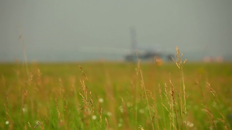 Field and airplane in the background.