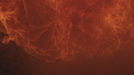 Fire explosion on a black background.