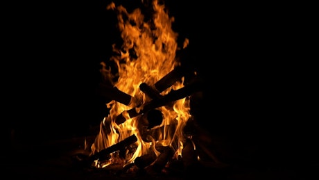 Fire of a bonfire against black.