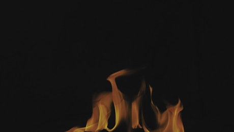 Fire on black background in slow motion