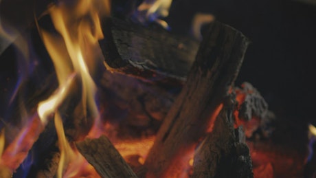 Firewood burning in a campfire.