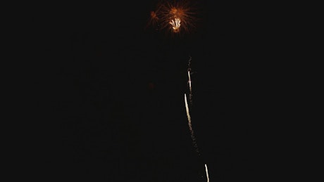 Fireworks blasting in the night sky.