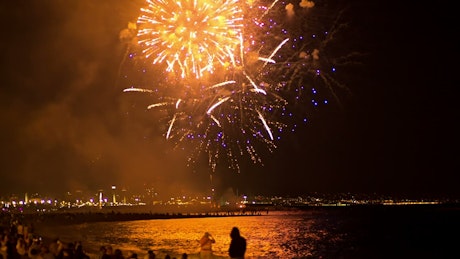 Fireworks illuminating the beach sky.