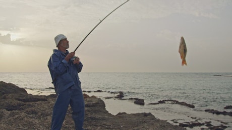 Free Fly Fishing Videos: 4K & HD, No Watermark