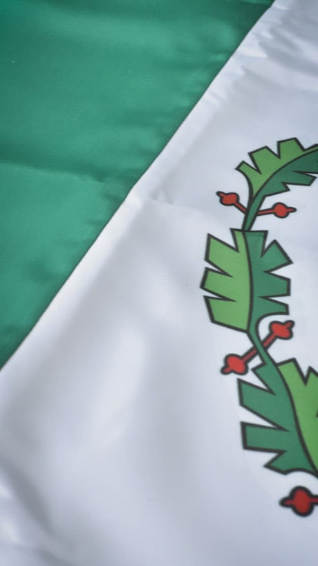 Flag of Mexico in a close up view.