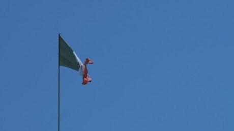 Flag of Mexico on a flagpole