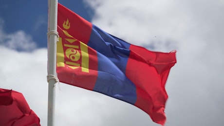 Flag of Mongolia waving in the wind