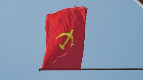 Flag of Vietnam waving in the wind on a flag pole.