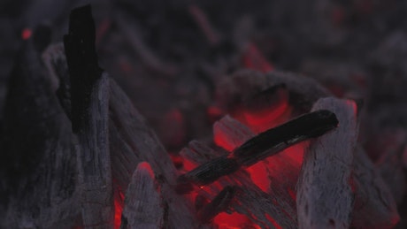 Flame burning coal in detail.