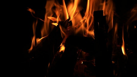 Flames burning in a campfire in the dark.