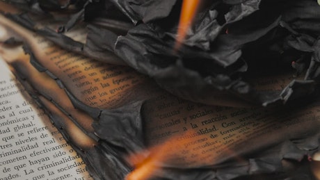 Flames burning the pages of a book, close up view.