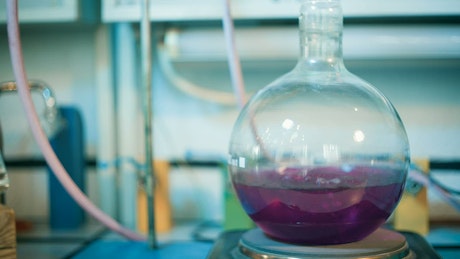 Flask of boiling purple liquid in a lab.