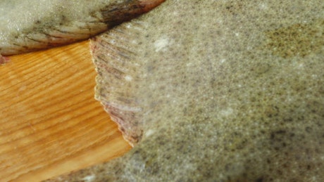 Flatfishes on a cook board.