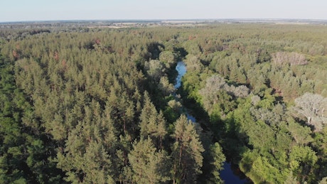 Flying over a river running through a forest
