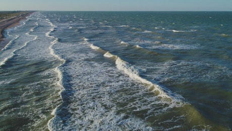 Foamy waves of sea on the shore