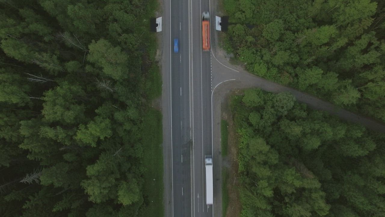 Freight trucks  ikan slot heading through a forest