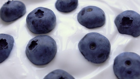 Fresh blueberries sitting in creamy yoghurt.