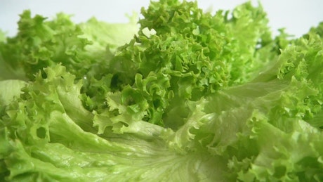 Fresh ingredients for salad in detail