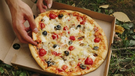 Fresh pizza in a box laying on grass.