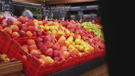Fruits with price tags in the supermarket trays.