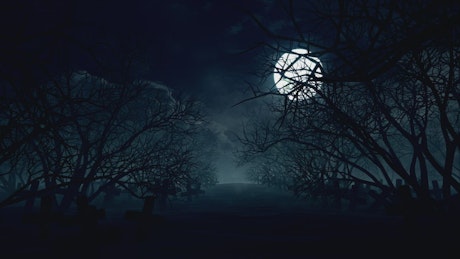 Full moon on halloween night, loop video