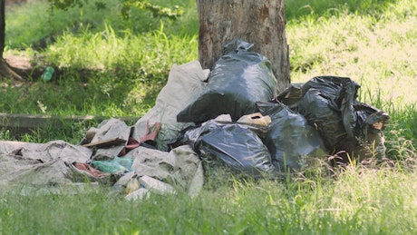 Garbage piled up at the base of a tree in nature