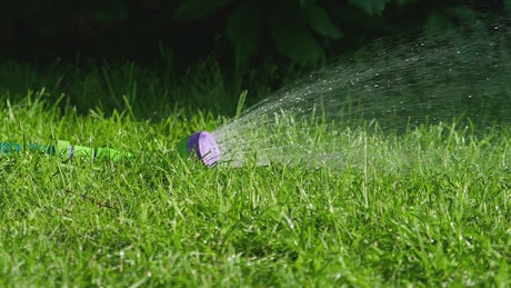Garden spraywer on the grass