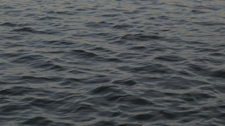 Gentle ripples across a harbor