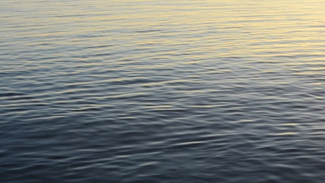 Gentle ripples across the water.