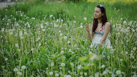 Girl blowing a dandelion in a crowded meadow.