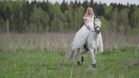 Girl in a white dress riding a white horse.