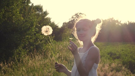 Girl playing with a dandelion flower in the sunset.