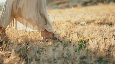 Girl walks bare feet in golden field at sunset.