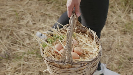 Girl walks with a basket of fresh eggs.