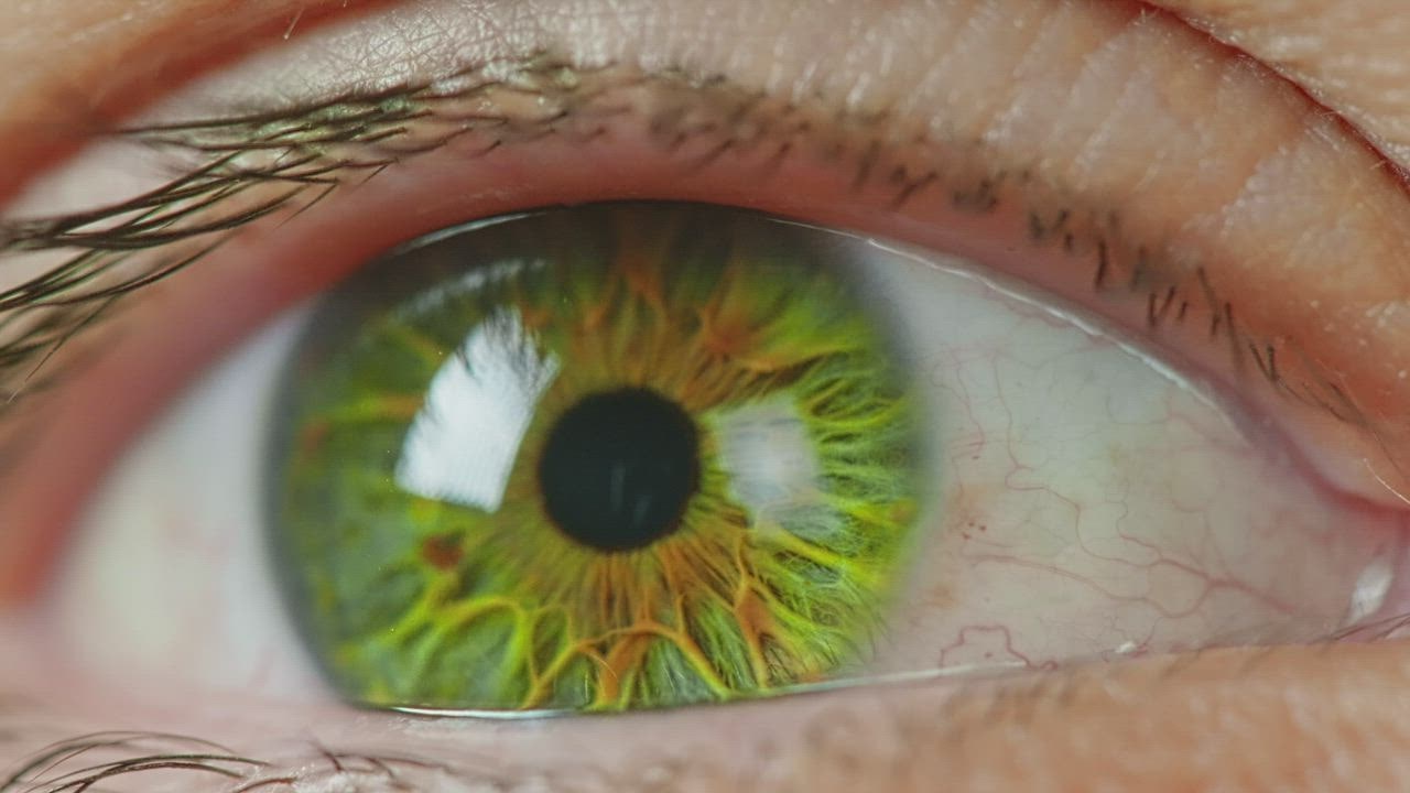 iris eye green