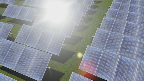 Green field lined with rows of solar panels