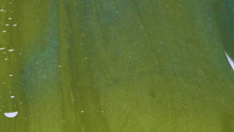 Green liquid texture.