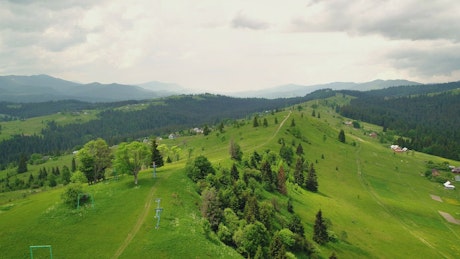 Green meadow in the countryside